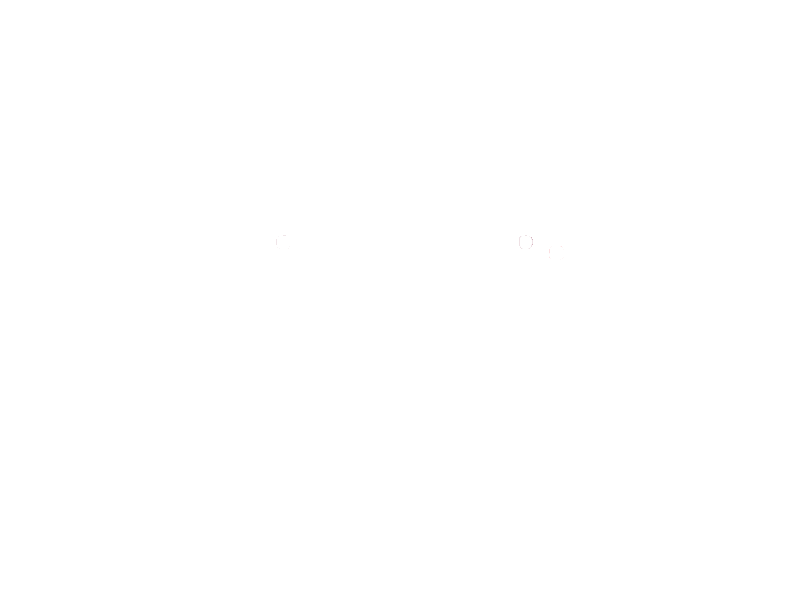 Pitstop Logo